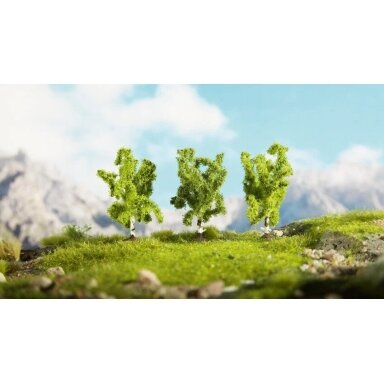 Birch Trees, 3 pcs.
