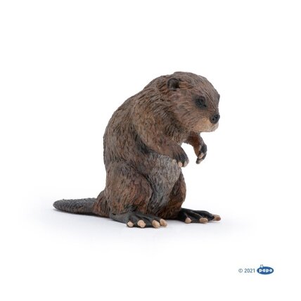 Beaver Beaver