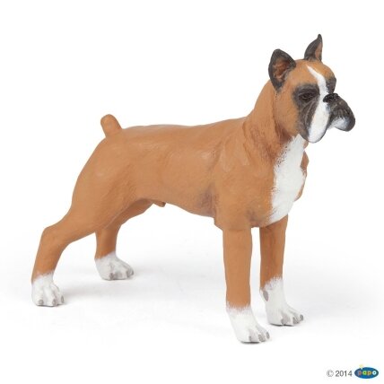 Boxer Boxer