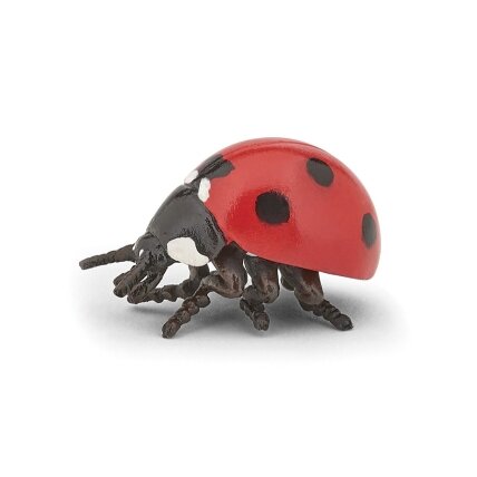 Ladybird Ladybird