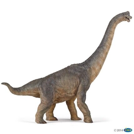Brachiosaurus Brachiosaurus
