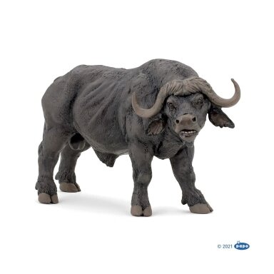 African buffalo