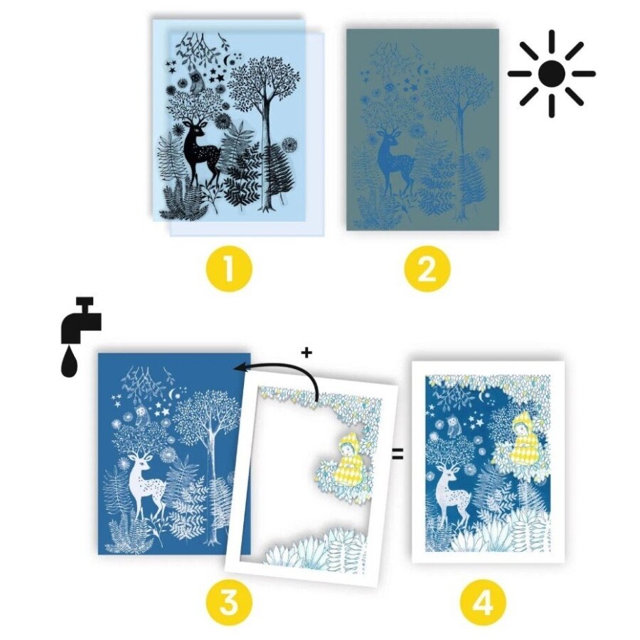 Cyanotype - By the Light of the Moon 1 Cyanotype - By the Light of the Moon 1