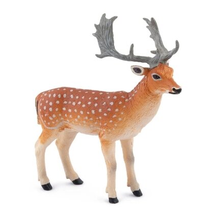 Fallow Deer Fallow Deer