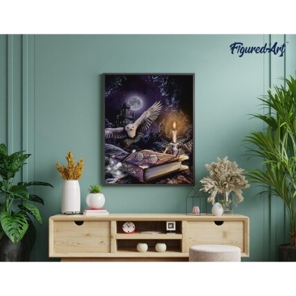Diamond paintig kit - Owl in the night 1