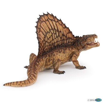 Dimetrodon Dimetrodon