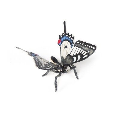 Swallowtail butterfly