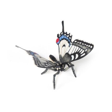 Swallowtail butterfly Swallowtail butterfly