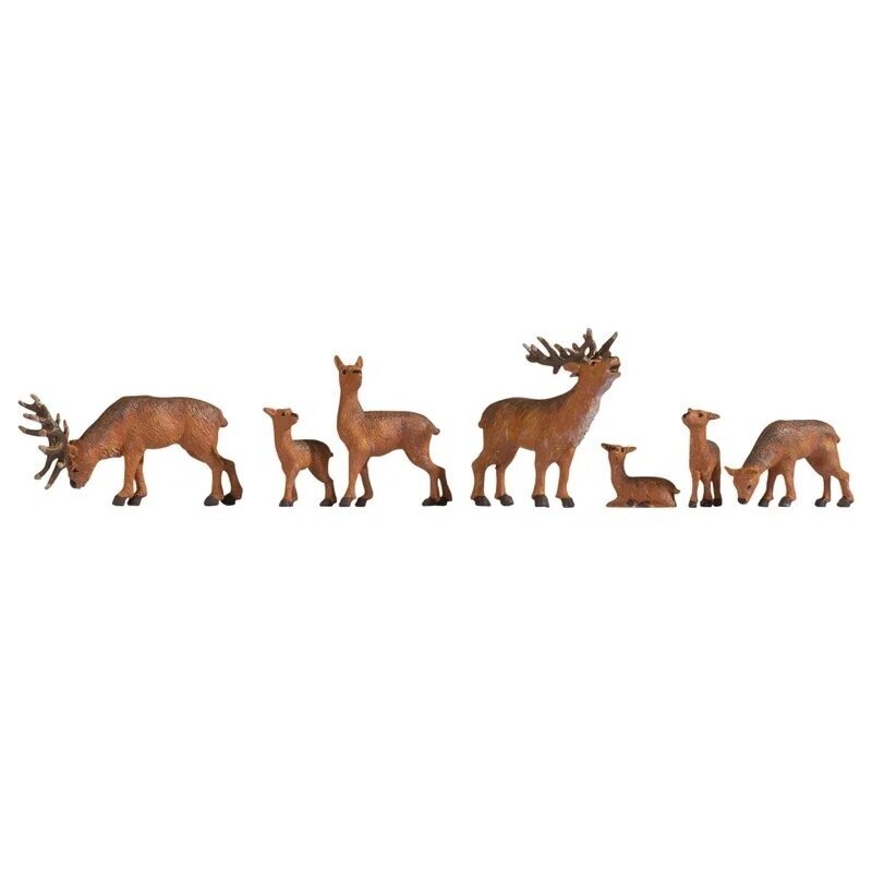 Deer