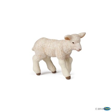 Merinos lamb Merinos lamb