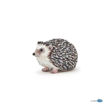 Hedgehog Hedgehog