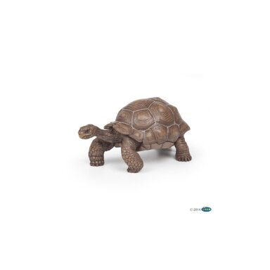 Galapagų vėžlio figūrėlė