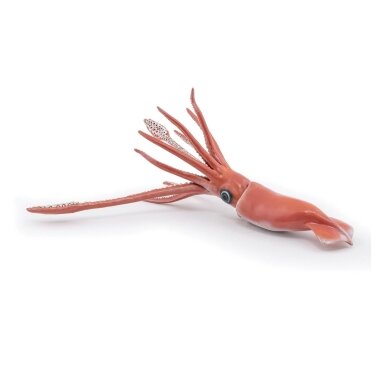 Giant squid