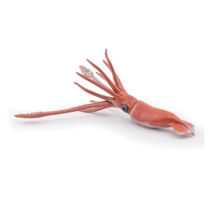 Giant squid Giant squid