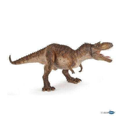 Gorgosaurus Gorgosaurus