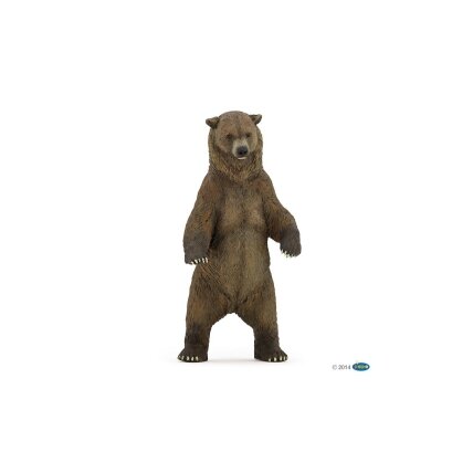 Grizzly bear Grizzly bear