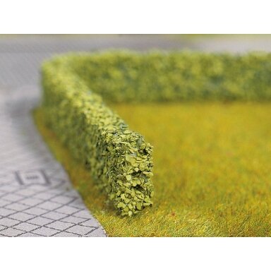 Model Hedges light green