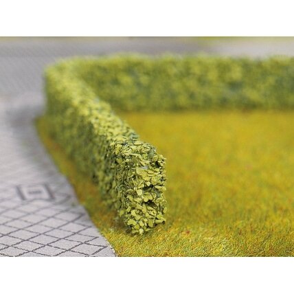 Model Hedges light green Model Hedges light green