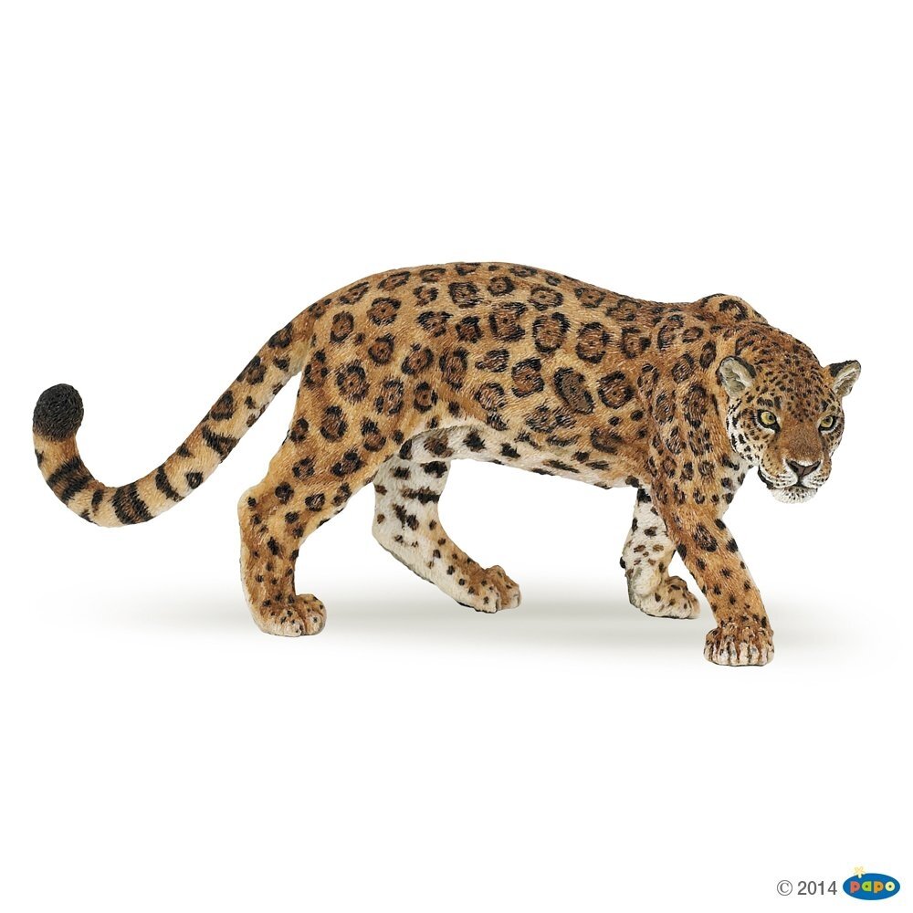 Jaguar