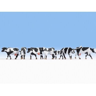Cows