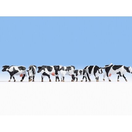 Cows Cows