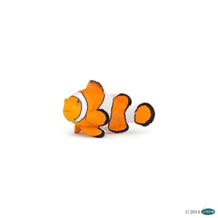 Clownfish Clownfish