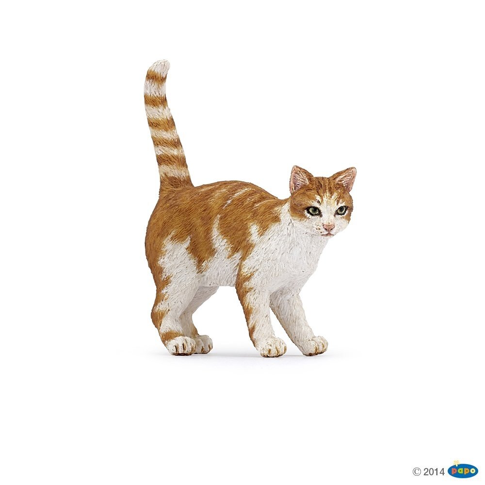 Red cat Red cat
