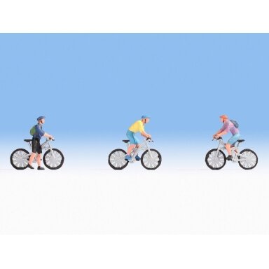 Mountainbiker