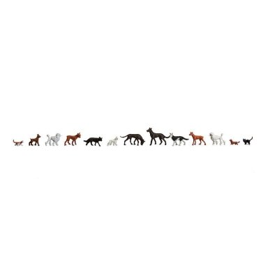 Cats and Dogs