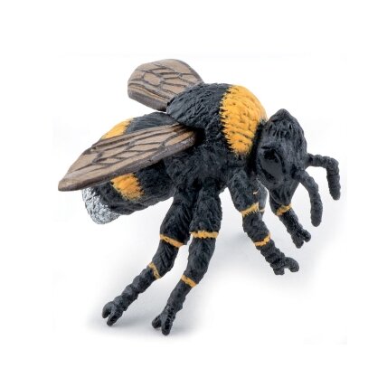 Bumblebee Bumblebee