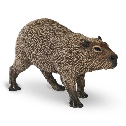 Capybara 1