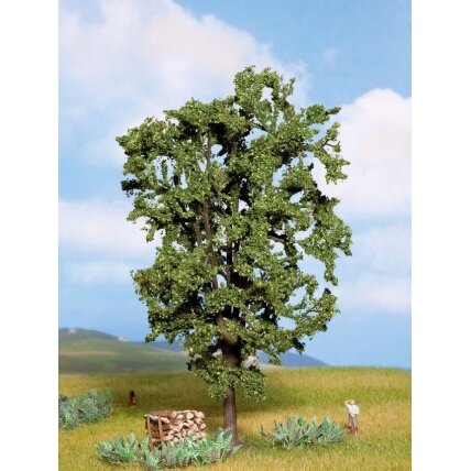 Chestnut Tree Chestnut Tree