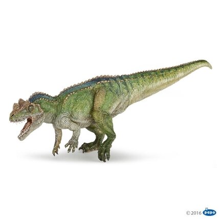 Ceratosaurus Ceratosaurus
