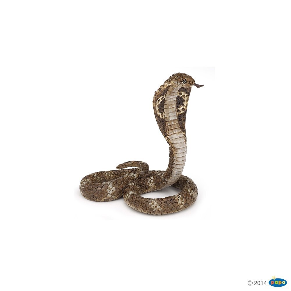 King cobra King cobra