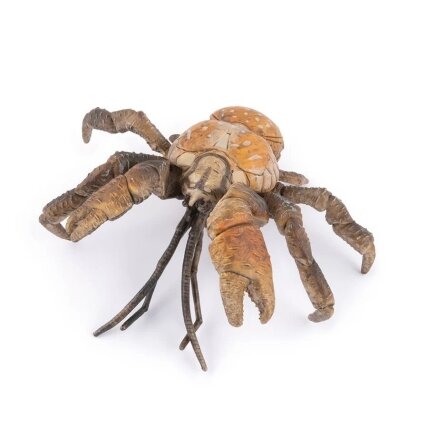 Coconut crab