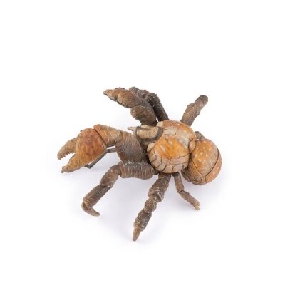 Coconut crab 1 Coconut crab 1