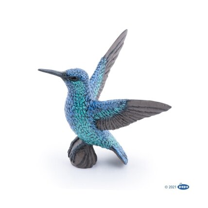 Hummingbird Hummingbird
