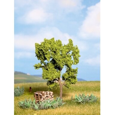 Pear Tree