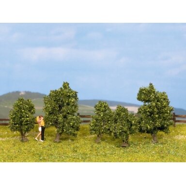 Bushes