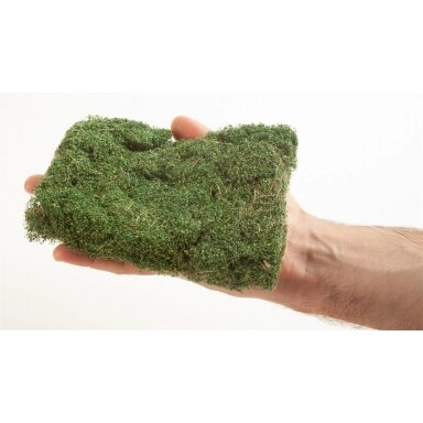Bushes medium green