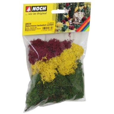 Lichen