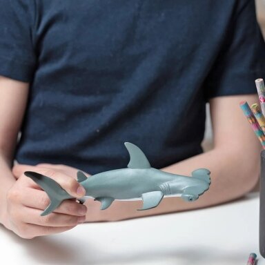 Hammerhead shark