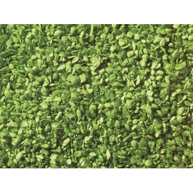 Leaves light green