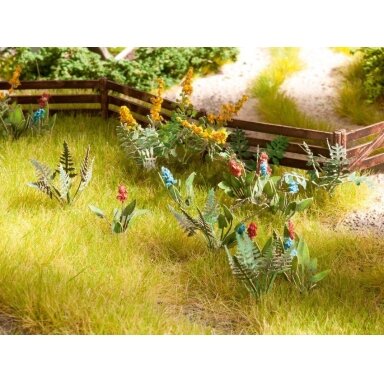 Field and meadow plants