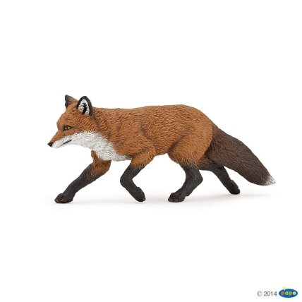 Fox Fox
