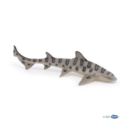 Leopard shark Leopard shark