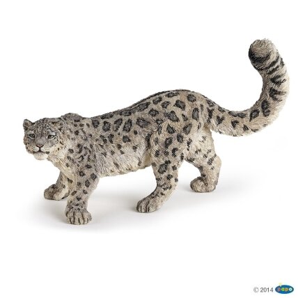 Snow leopard Snow leopard