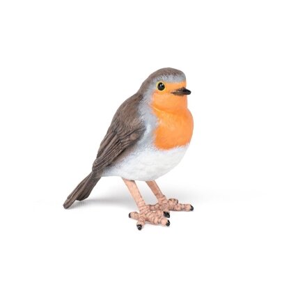 Robin Robin