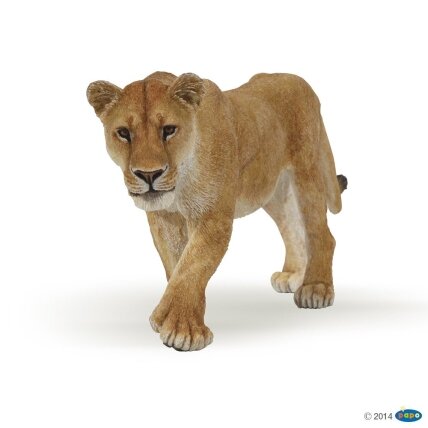 Lioness Lioness