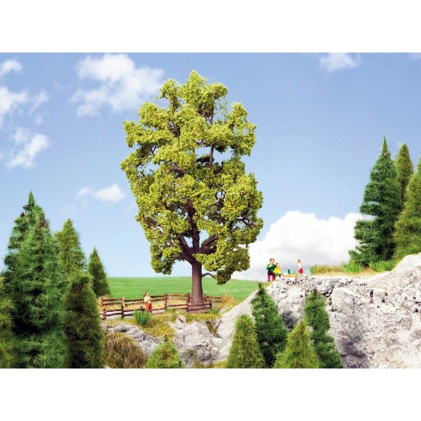 Linden tree Linden tree